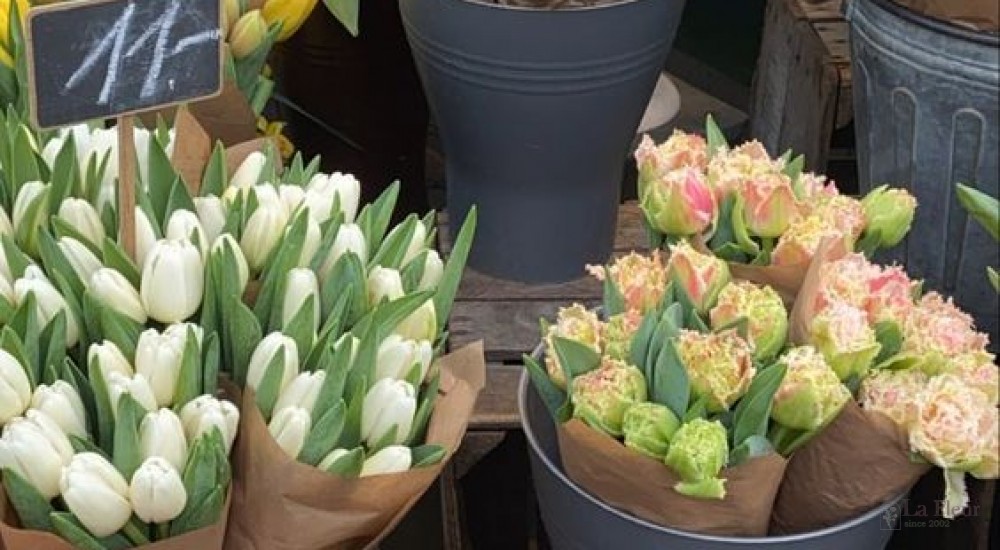 TOP 4 LOẠI HOA NHẬP KHẨU ĐẸP ĐƯỢC ƯA CHUỘNG NHẤT