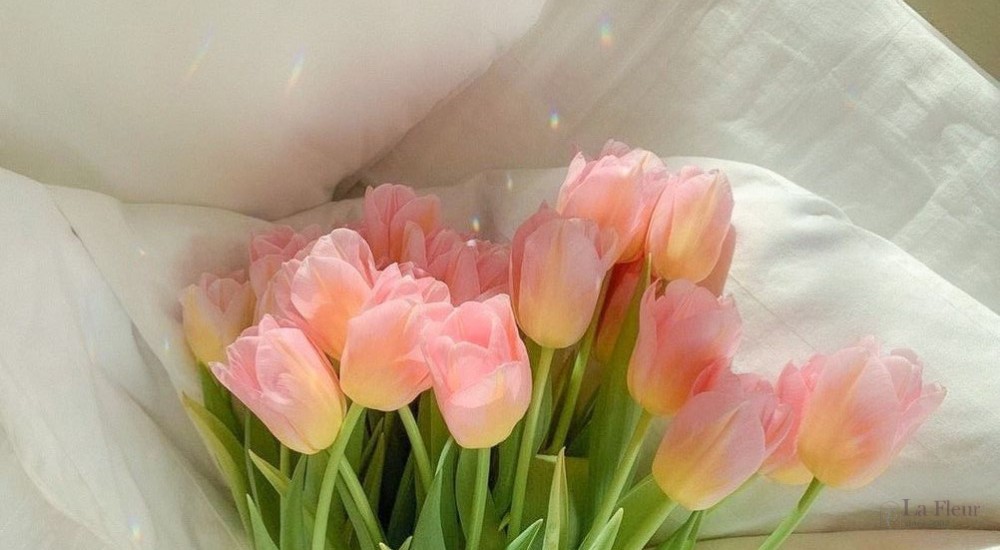 HƯỚNG DẪN CÁCH ĐẶT HOA THEO YÊU CẦU