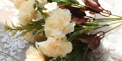 HOA CẨM CHƯỚNG VÀ NGÀY CỦA MẸ: SỰ KẾT HỢP HOÀN HẢO