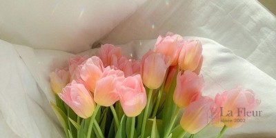 HƯỚNG DẪN CÁCH ĐẶT HOA THEO YÊU CẦU