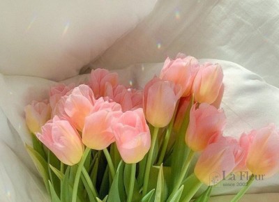 HƯỚNG DẪN CÁCH ĐẶT HOA THEO YÊU CẦU